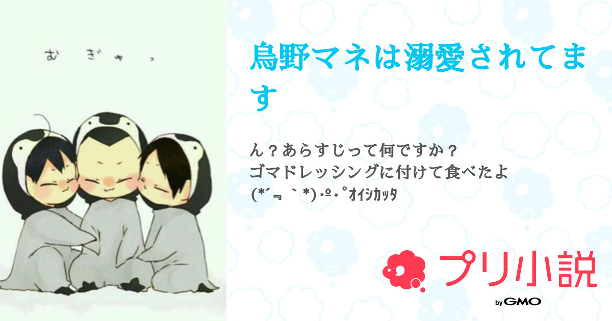烏野マネは溺愛されてます 全23話 完結 Masaki 低浮上さんの小説 無料スマホ夢小説ならプリ小説 Bygmo