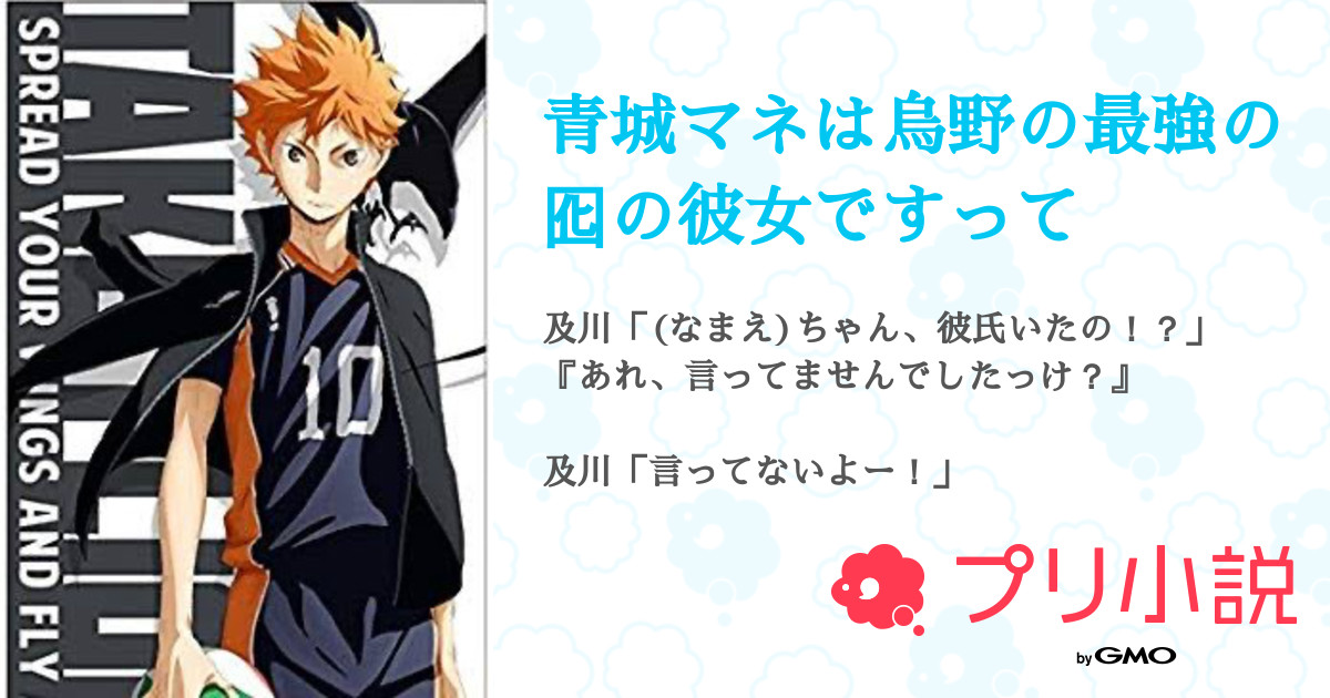 青城マネは烏野の最強の囮の彼女ですって 全8話 連載中 みたらしだんごさんの夢小説 無料スマホ夢小説ならプリ小説 Bygmo
