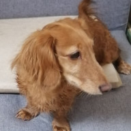 すみちゃ(相互垢)さんのアイコン画像