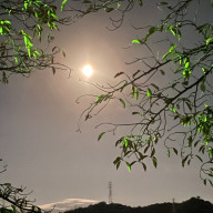 リマ★｡.*@pkmn中心垢さんのアイコン画像