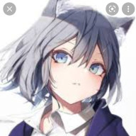 白猫ちゃんさんのアイコン画像