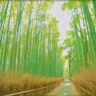 LoveBattleさんのアイコン画像