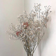 ℳ.さんのアイコン画像