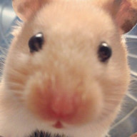 SORA~*°♡ ⛅️🌟 8/7さんのアイコン画像