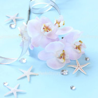 Kinokoさんのアイコン画像