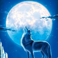 月夜の狐