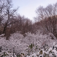 yumayuYAMAさんのアイコン画像