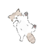 𝓡𝓲𝓸さんのアイコン画像