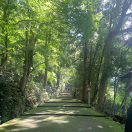 Rotoさんのアイコン画像