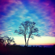 onmyさんのアイコン画像