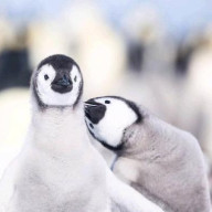 佐々間琳都さんのアイコン画像