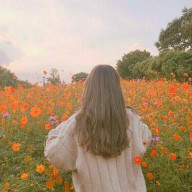 めざもこさんのアイコン画像