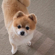 怠け者さんのアイコン画像