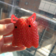 さきいかさんのアイコン画像