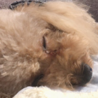 MRMPさんのアイコン画像