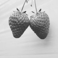 くるmrnさんのアイコン画像