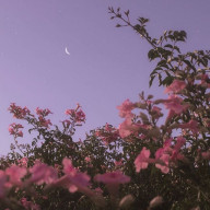 🌊さんのアイコン画像