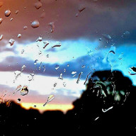 Cy 凛桜rioさんのアイコン画像