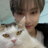 나영🦊さんのアイコン画像