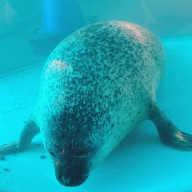 waokaさんのアイコン画像