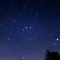 wtmmさんのアイコン画像