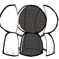 シロさんのアイコン画像
