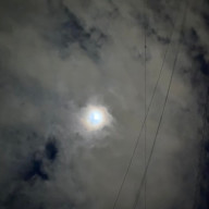 空さんのアイコン画像