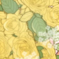 KUNIMIさんのアイコン画像