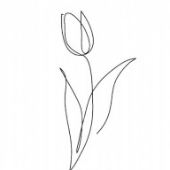 鬱金香🌷さんのアイコン画像