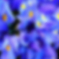 あにょかさんのアイコン画像