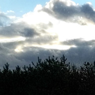 こころさんのアイコン画像