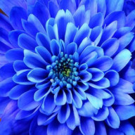 わかば🌱さんのアイコン画像