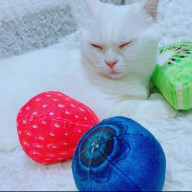 aoinoさんのアイコン画像