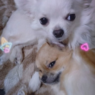 さーちゃんさんのアイコン画像