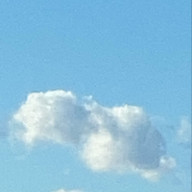 さくらんぼさんのアイコン画像