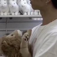 jurijuriさんのアイコン画像