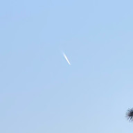 ﾌﾞﾄﾞｳさんのアイコン画像