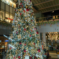 9bickyktさんのアイコン画像