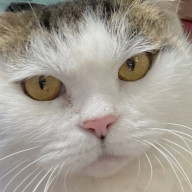 mnmtさんのアイコン画像