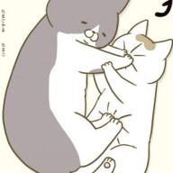 Serenade ✴@復活！さんのアイコン画像