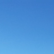 くーをさんのアイコン画像