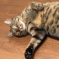 h.hさんのアイコン画像