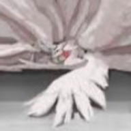 奈落さんのアイコン画像