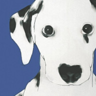 ウイチュ。さんのアイコン画像