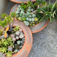 かほさんのアイコン画像