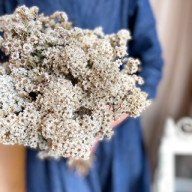 Sizuku.1112さんのアイコン画像