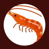 こえび🦐🍤さんのアイコン画像