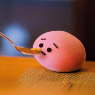 りねこさんのアイコン画像