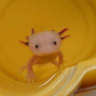 まるさんのアイコン画像