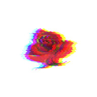 伊織さんのアイコン画像